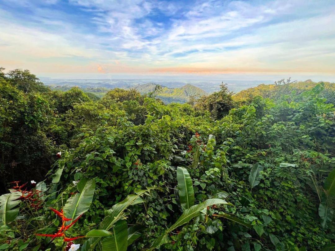 Domos Mirador Romantic Private Honeymoon Glamping Miramar Luaran gambar