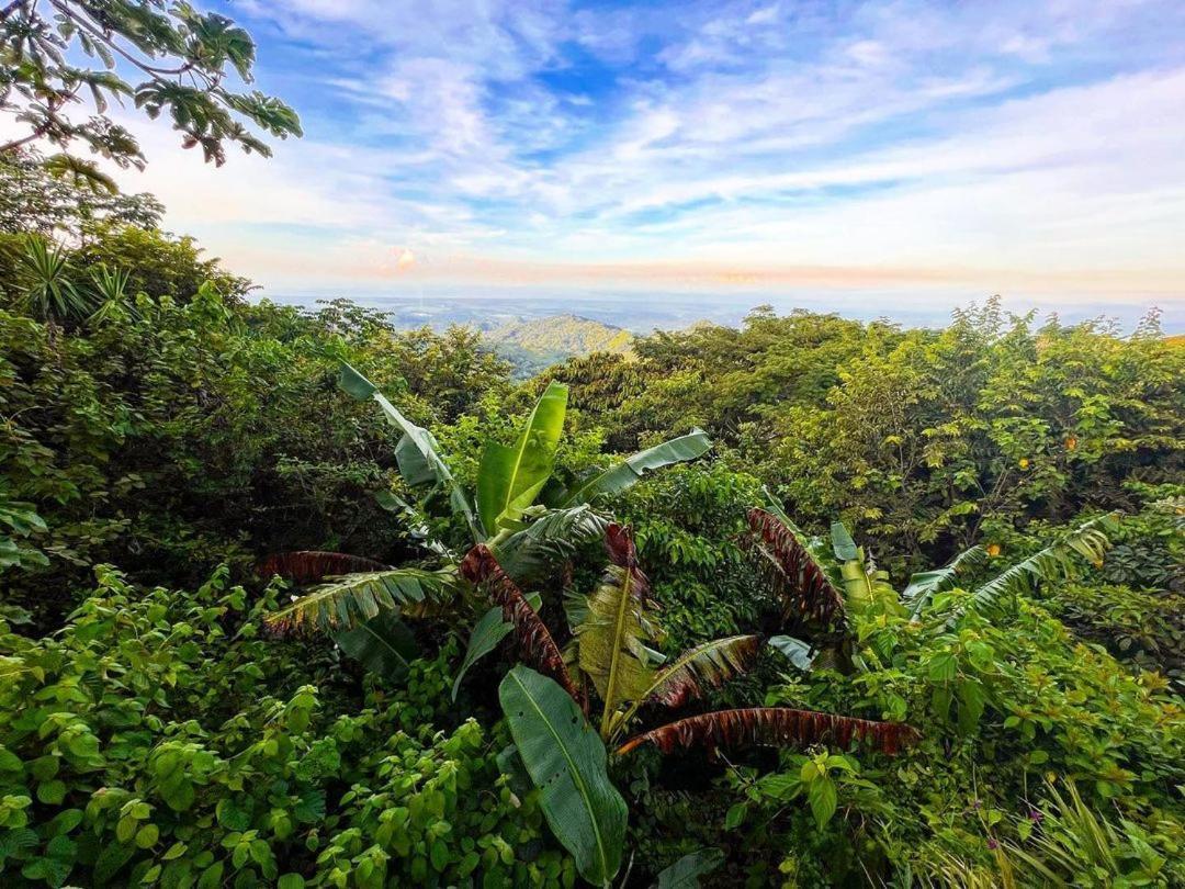 Domos Mirador Romantic Private Honeymoon Glamping Miramar Luaran gambar